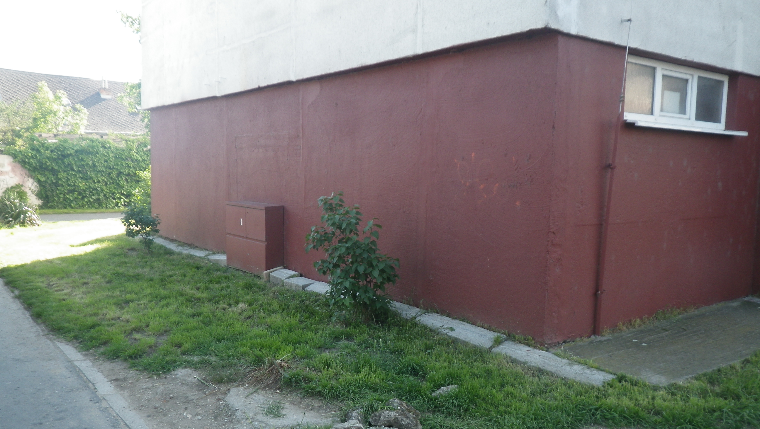 IMGP0991